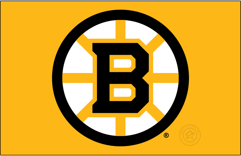Boston Bruins 2024-Pres Primary Dark Logo iron on heat transfer